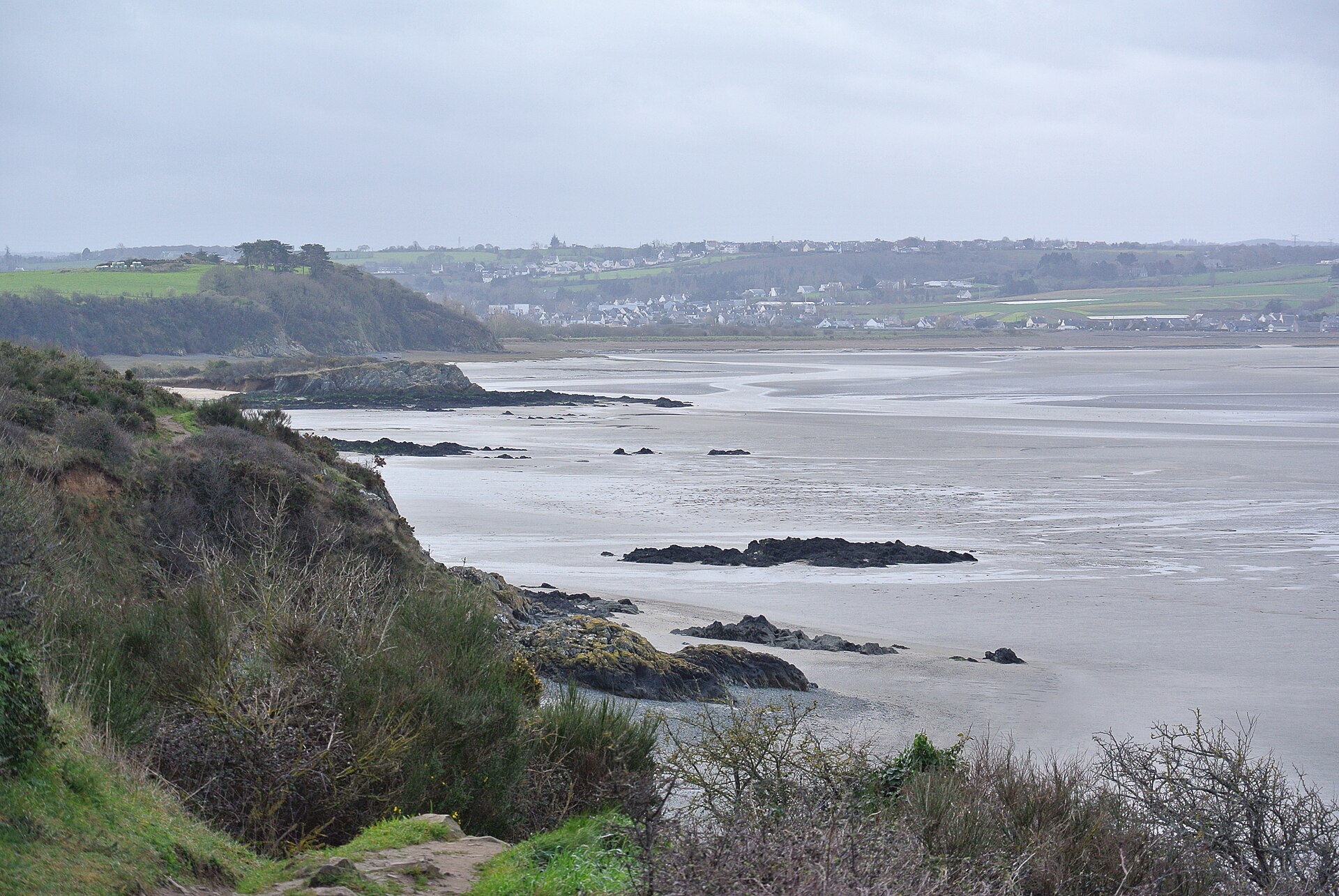 La réserve naturelle de la baie de Saint-Brieuc à Hillion